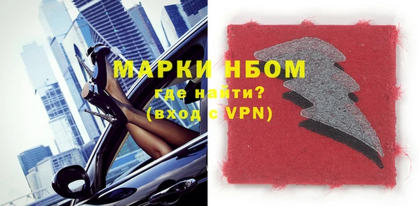 крисы Новодвинск