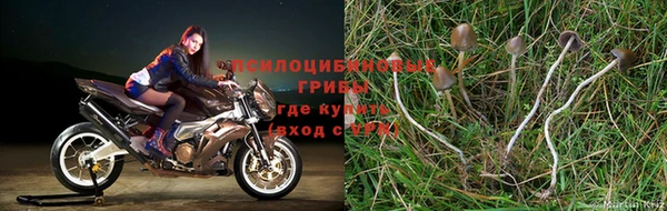кокаин колумбия Волоколамск