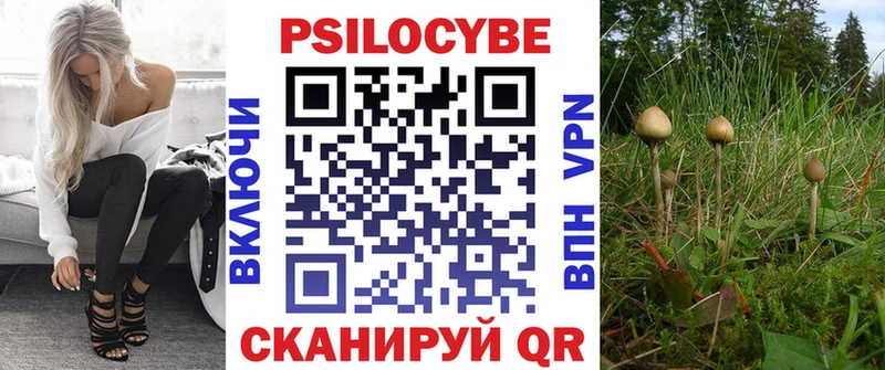 Галлюциногенные грибы Psilocybine cubensis  как найти   Горбатов 